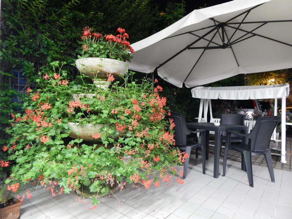 Hotel Vera Riccione Eksteriør billede